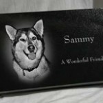 Laser Etched Pet Markers in Grand Rapids MI