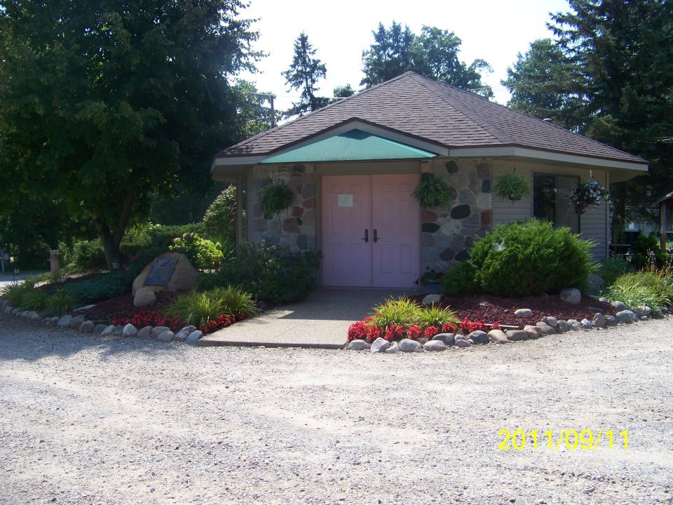 the life expectancy of a cat