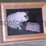 Portrait Frame Pet Urn