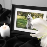 rame with picture of dog, burning candle and lily flower on black cloth, closeup. pet funeral